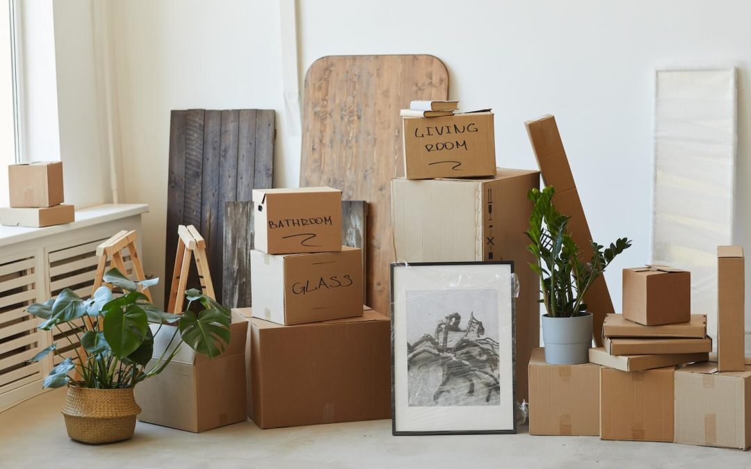 Moving to Point Loma? How Professional Help Can Make All the Difference