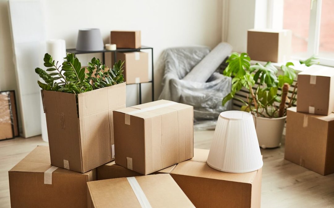 Moving to La Mesa, CA Community? Trust Local Experts for Stress-Free Hilltop Moves